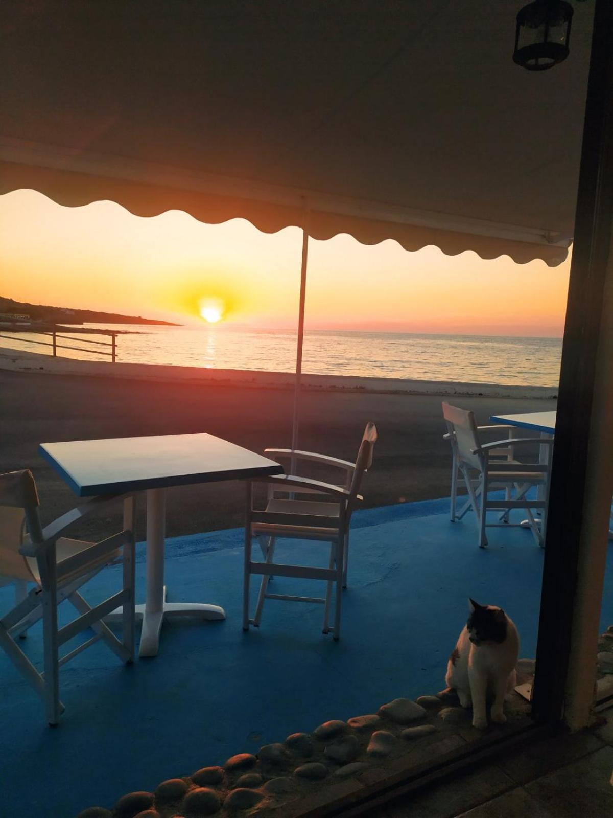Meltemi Beach Apartments Milatos Extérieur photo